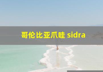 哥伦比亚爪哇 sidra